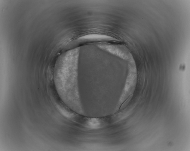 X0000090620091200708141422