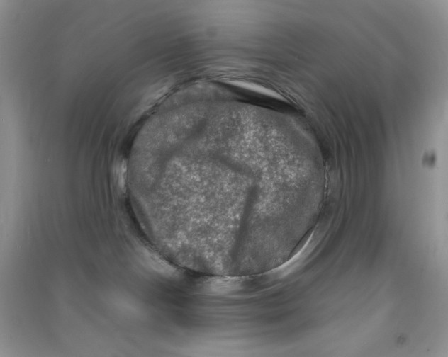 X0000090620094200708141422