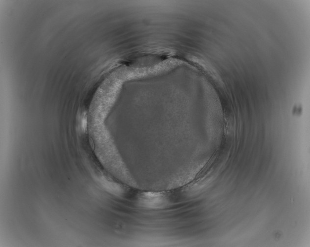 X0000090620095200708141422