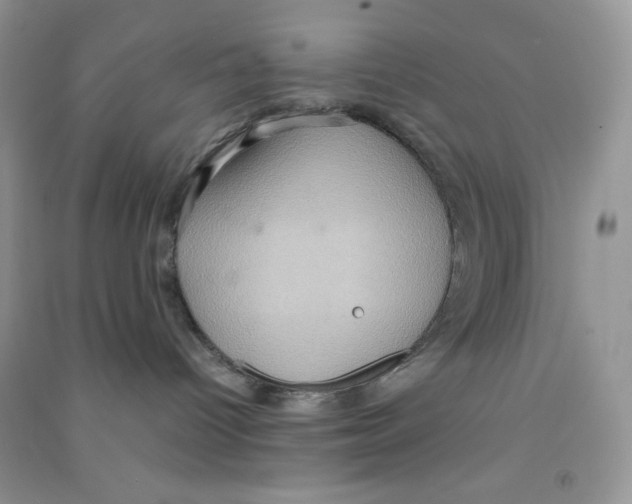 X0000090620096200708141422