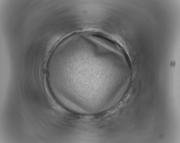 X0000090620097200708141421