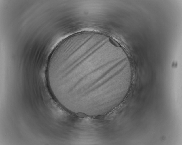 X0000090620098200708141421