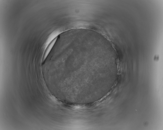 X0000090620099200708141421