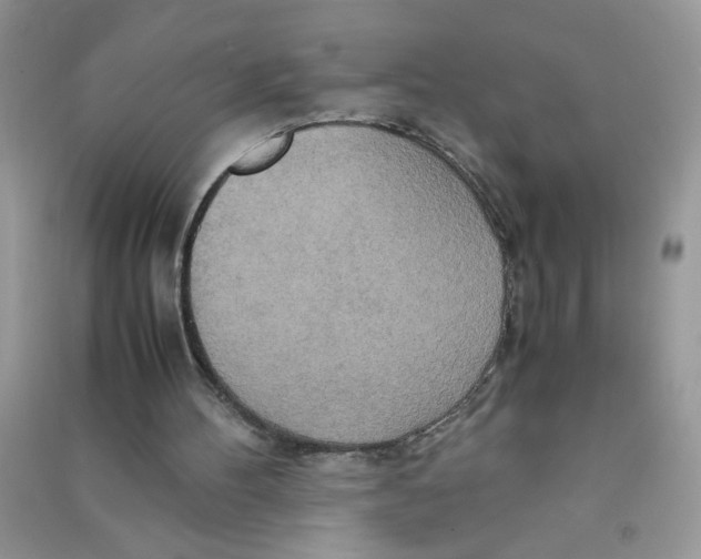 X0000090620100200708141421