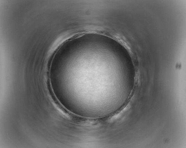 X0000090620101200708141421