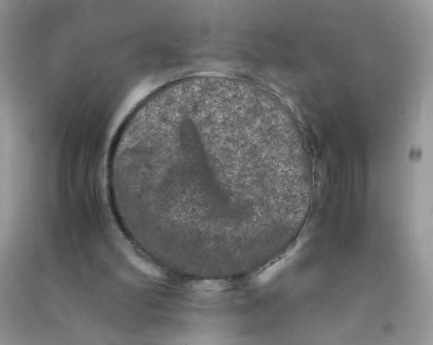 X0000090620102200708141421