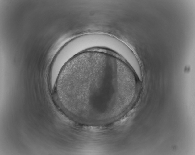 X0000090620103200708141421