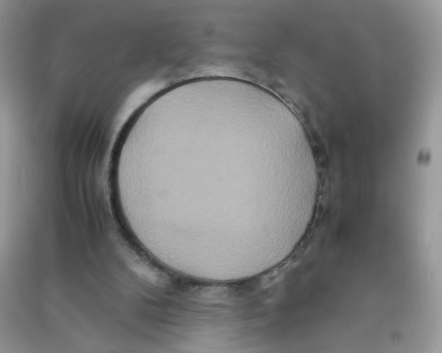 X0000090620104200708141421