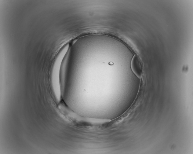 X0000090620105200708141421