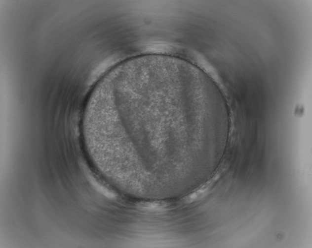 X0000090620106200708141421