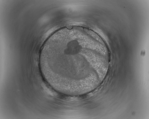 X0000090620107200708141421