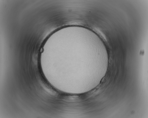 X0000090620108200708141421