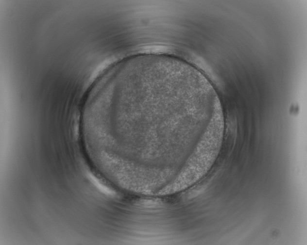 X0000090620110200708141421