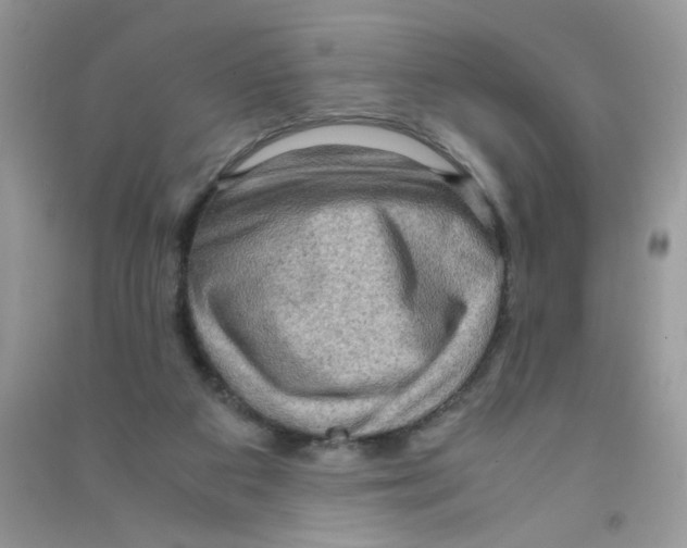 X0000090620113200708141421