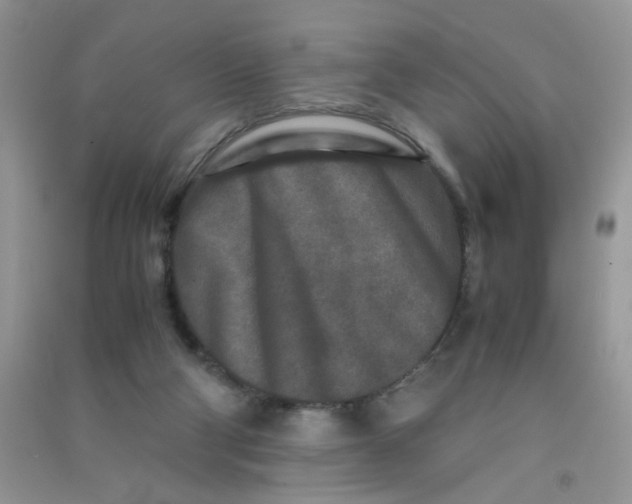 X0000090620114200708141421