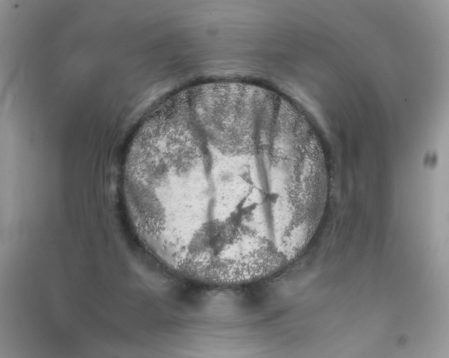 X0000090620115200708141421