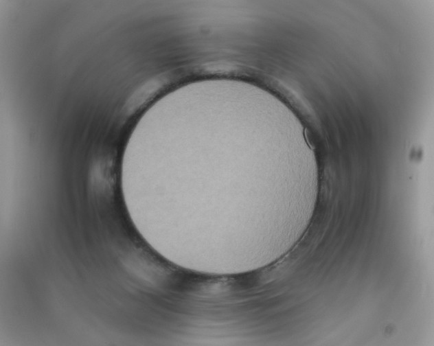 X0000090620116200708141421