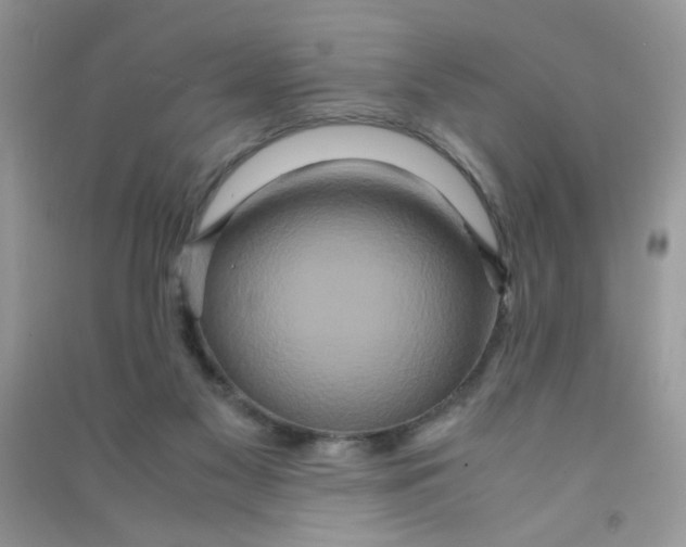 X0000090620117200708141421