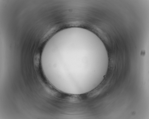 X0000090620118200708141421