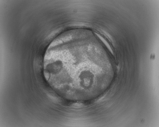 X0000090620119200708141421