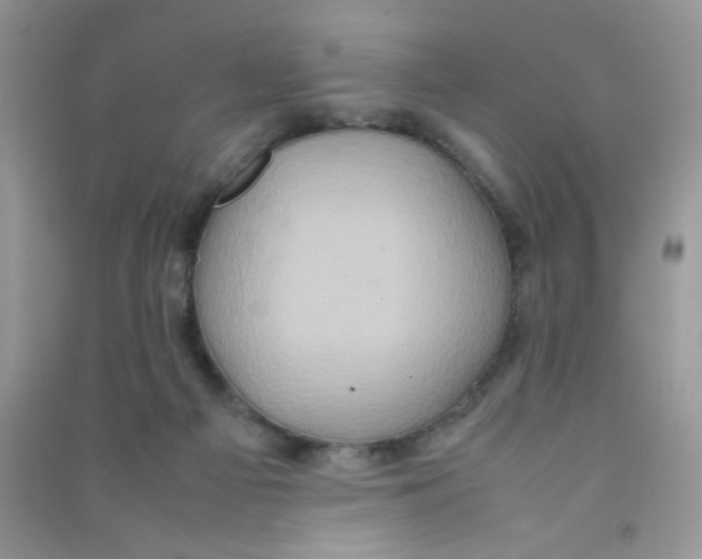 X0000090620121200708141421