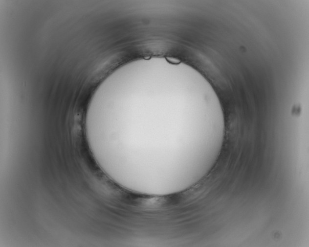 X0000090620122200708141421