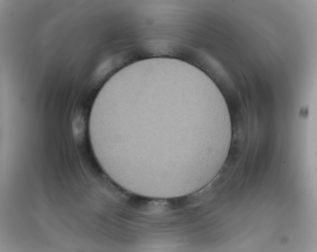 X0000090620124200708141421