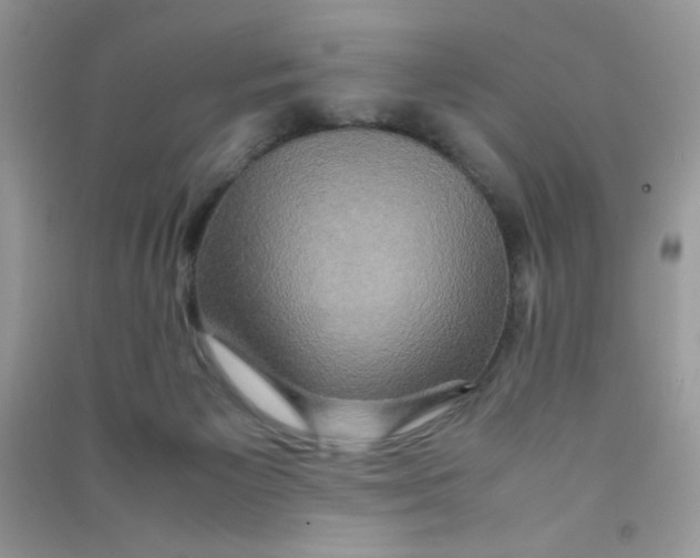 X0000090620125200708141421