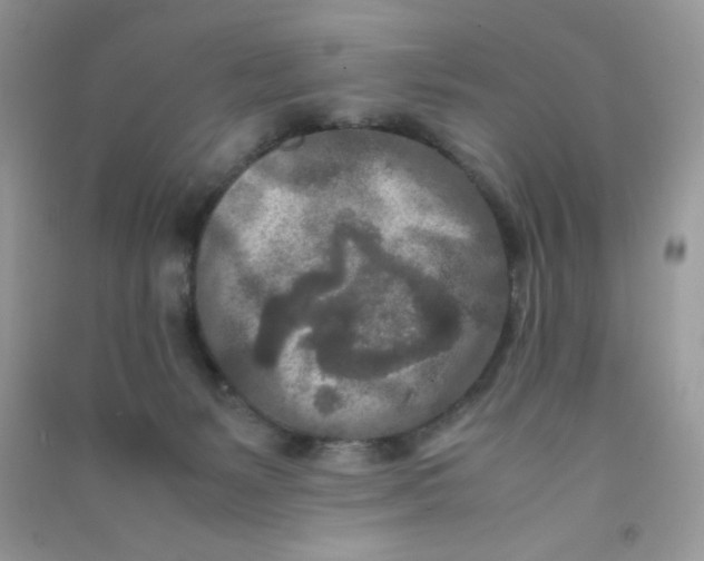 X0000090620127200708141421