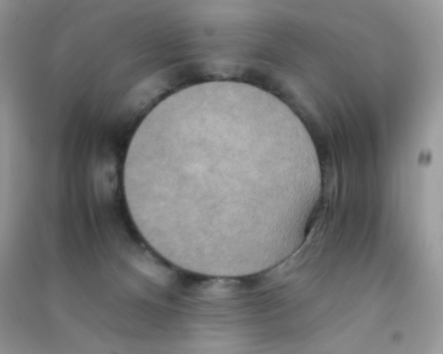 X0000090620128200708141421