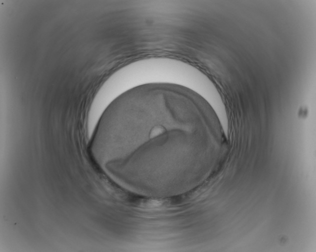 X0000090620129200708141421