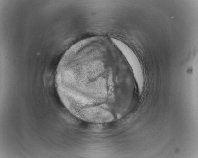 X0000090620131200708141421