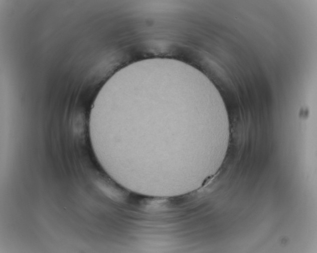 X0000090620132200708141421