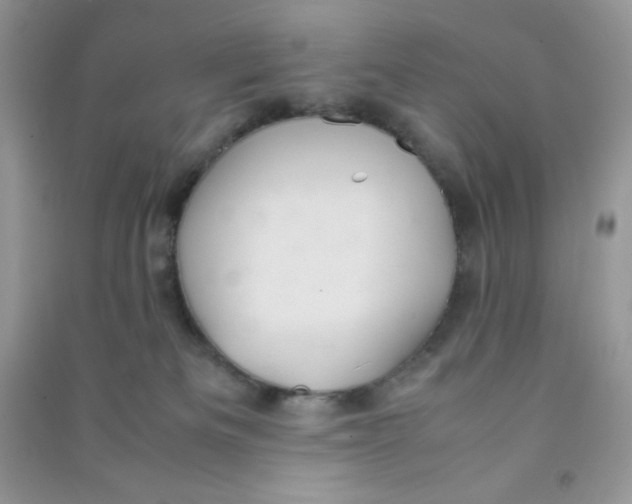 X0000090620133200708141421