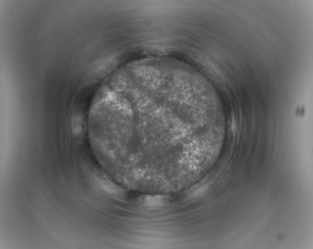 X0000090620134200708141421