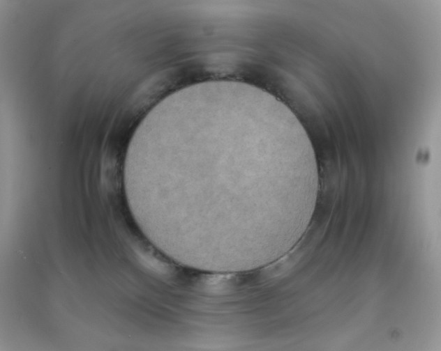 X0000090620136200708141421