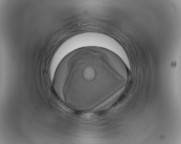 X0000090620137200708141421