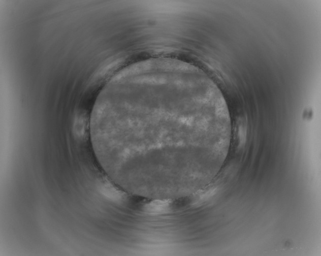 X0000090620138200708141421