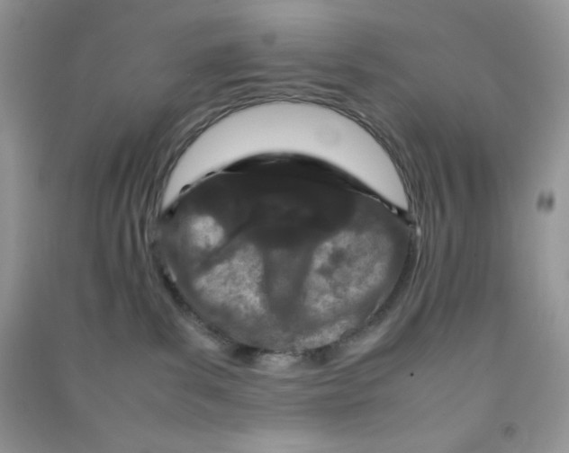 X0000090620139200708141421