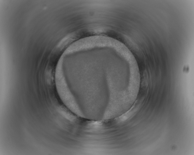 X0000090620140200708141421