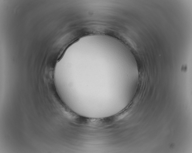 X0000090620141200708141421