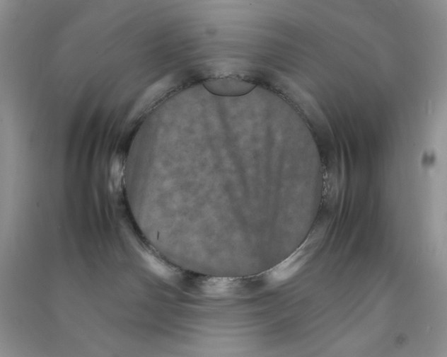 X0000090620142200708141421