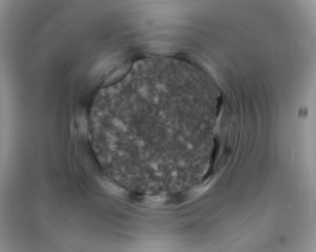 X0000090620143200708141421