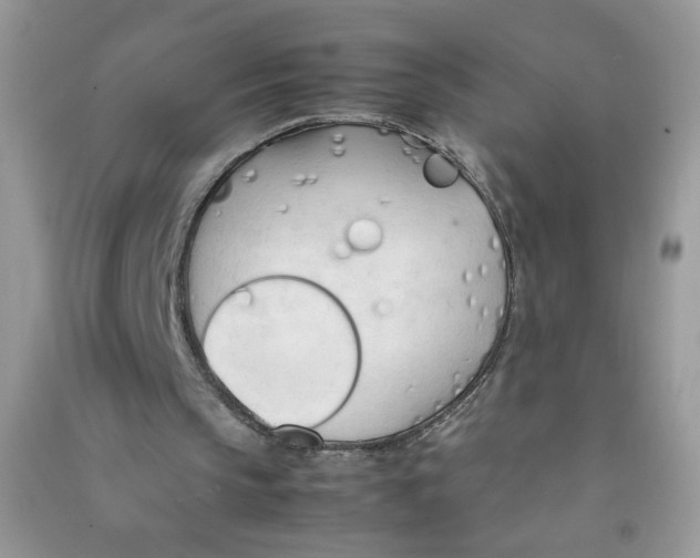 X0000090620145200708141420