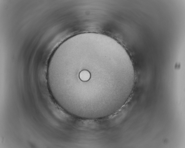 X0000090620146200708141420