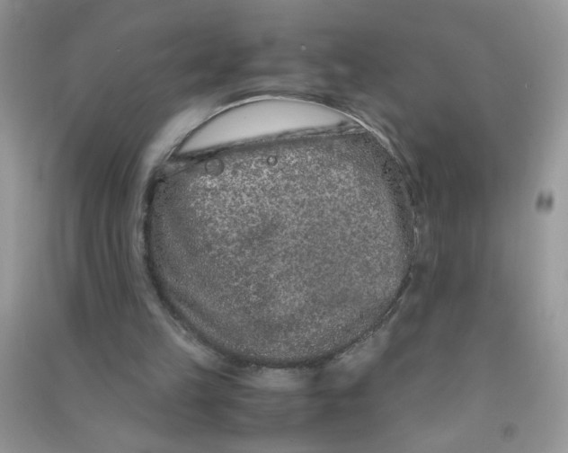 X0000090620149200708141420