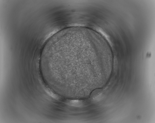 X0000090620153200708141420