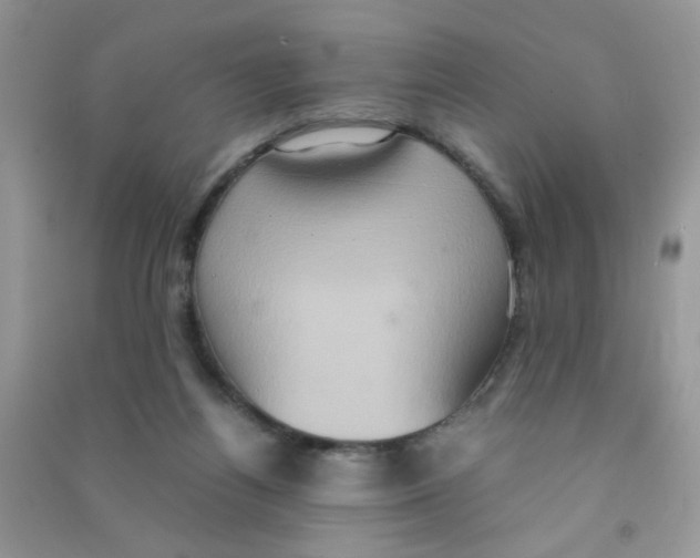 X0000090620164200708141420