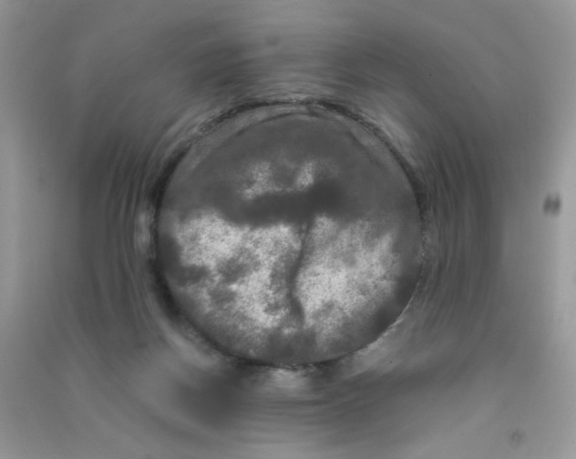 X0000090620166200708141420