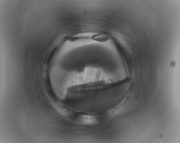 X0000090620167200708141420